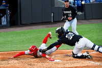 Best of Baseball 2025