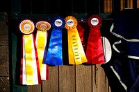 USHJA Hunter Jumpers In & Out Series No. 8: Show Jumping 11/23/25