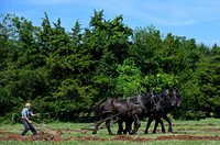 Plowing